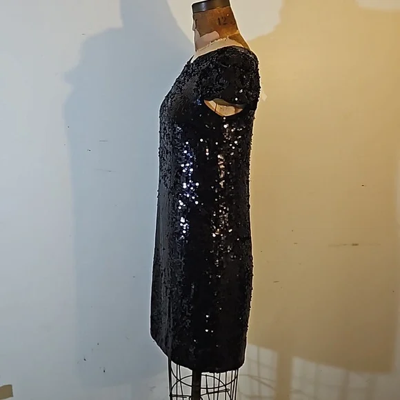 Sequins anyone?   Darling NWT Banana Republic size 4 dress - Picture 10 of 13